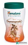 Chyavanaprasha